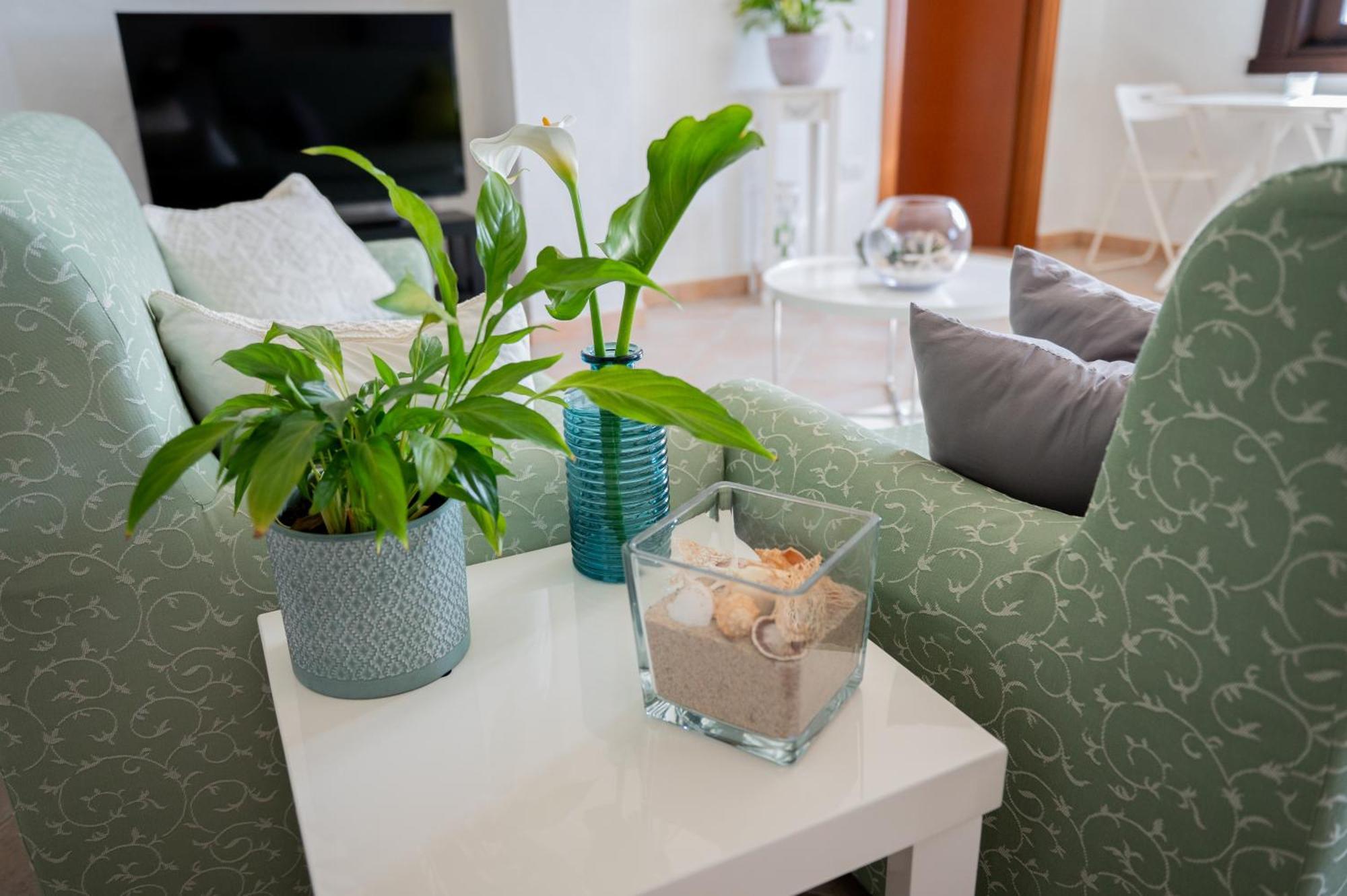 Casa Martina Hotell Pula Eksteriør bilde